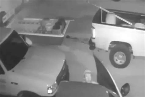 Thief Has Sex With Accomplice As He Takes Quick Break From Stealing Trailer World News