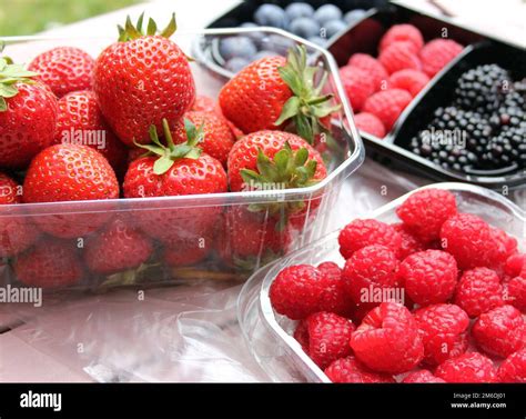 Fresh Fruits in plastic packages Stock Photo - Alamy