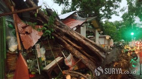 Satu Jam Diguyur Hujan Dan Angin Kencang Ada Delapan Lokasi Pohon