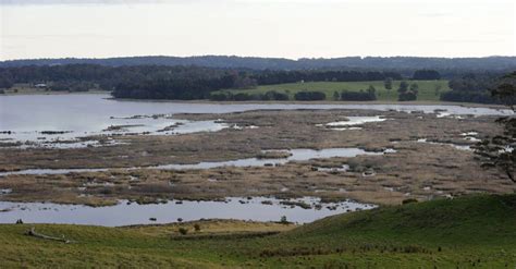Wingecarribee Dam Destination Southern Highlands