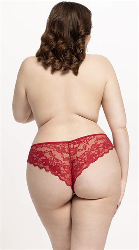 Plus Size Bella Lace Up Bikini Panty Plus Size Bella Lace Panty Yandy