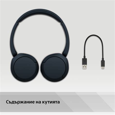 Безжични слушалки с микрофон Sony - WH-CH520, черни | Ozone.bg