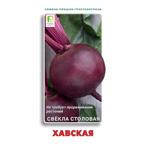 Свекла столовая Агрохолдинг ПОИСК Хавская 3гр 470984 - выгодная цена ...