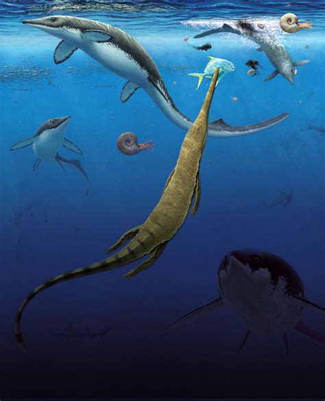 Que Es Un Ecosistema Marino 8