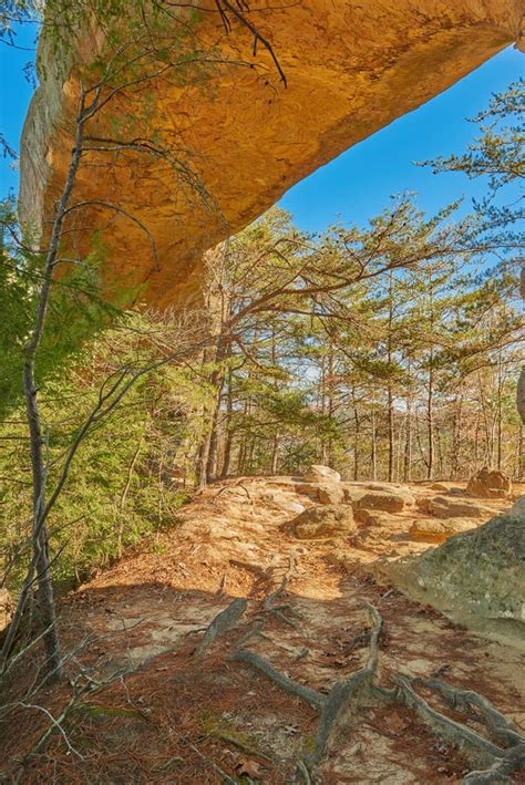 Sky Bridge Arch Red River Gorge Ky Stock Photo Image Of Forest