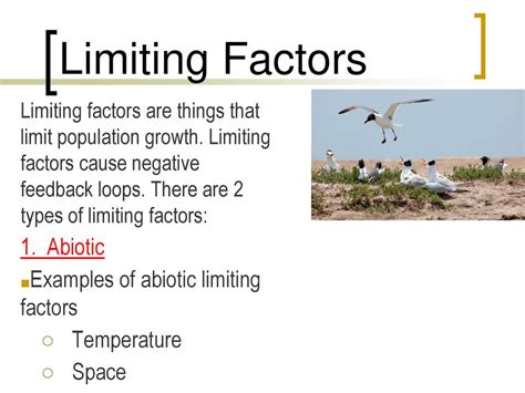 Populations Definition Ppt Download