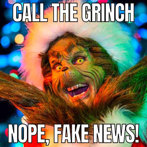 25 Hilarious Grinch Memes For When You Feel The Holiday Grump