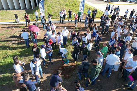 Con Arbolitos Inicia Umsnh Labores De Reforestaci N En Cu