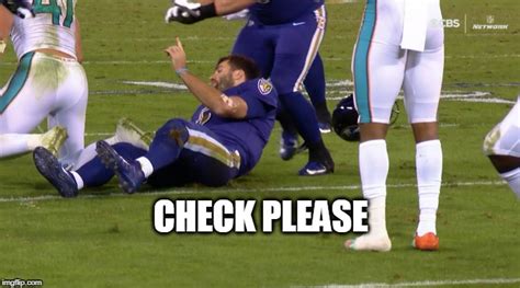 Check Please Dolphins Imgflip