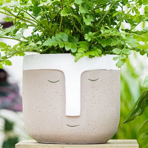 Osłonka Nude Ivy Ø 12cm Sklep z roślinami CocaFlora