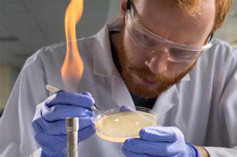 🎉 Aseptic Technique Lab Asepsis 2019 01 27