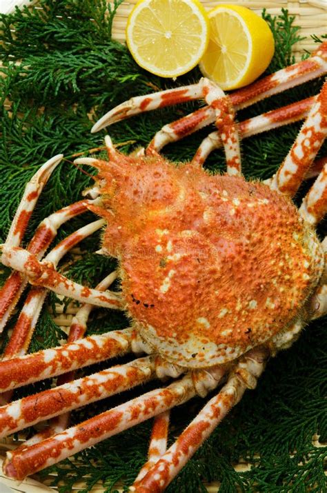 Giant Crab Stock Photo Image Of Meal Organic Life 23123438