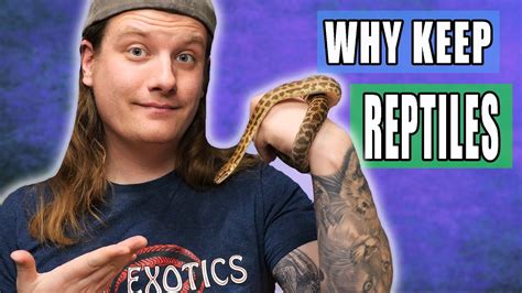 Are We Keeping Reptiles For The Right Reasons Youtube