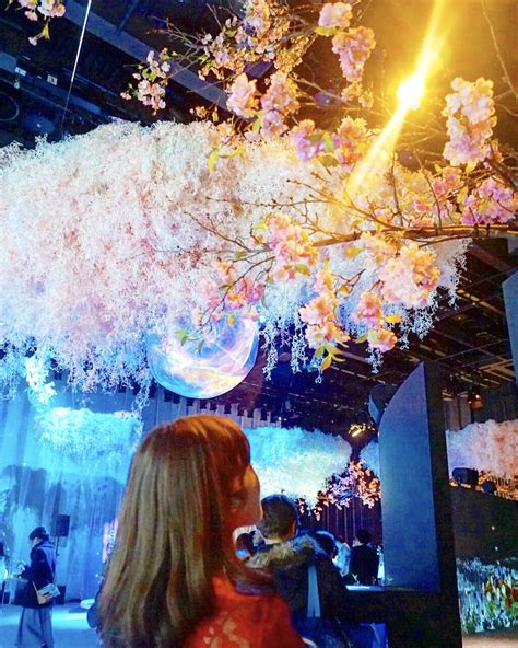 The Earliest Cherry Blossom In Tokyo Flowers By Naked Chocolat