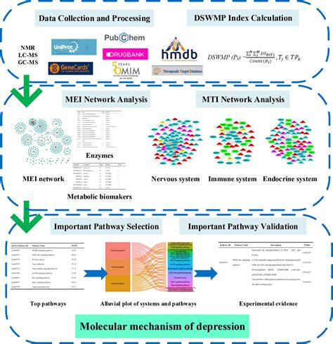 Frontiers A Novel Network Pharmacology Strategy To Decode Metabolic