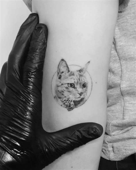 Micro Realistic Cat Portrait Tattoo On The Tricep