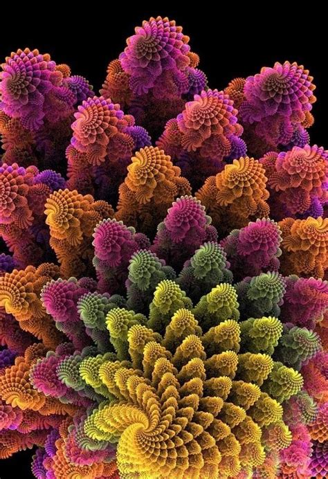 My Colorful World Fractals In Nature Fractals