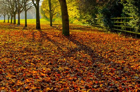 Autumn Landscape Free Stock Photo - Public Domain Pictures