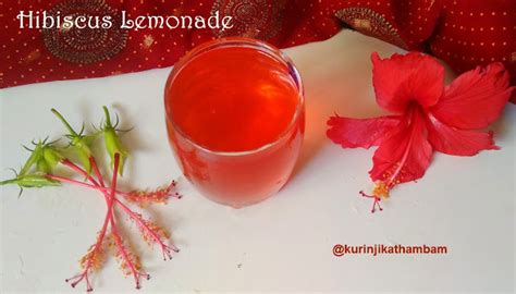 Hibiscus Lemonade Recipe Sembaruthi Lemonade With Sabja Seeds