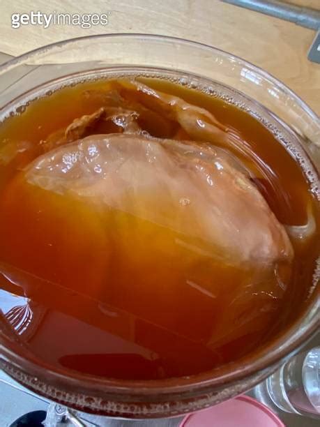 Tongs Hold Scoby Or Fungus For Kombucha Over Jar Scoby Tea Mushroom To