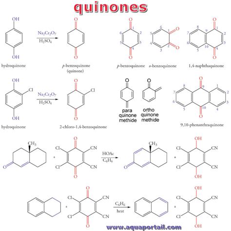 Quinone D Finition Et Explications