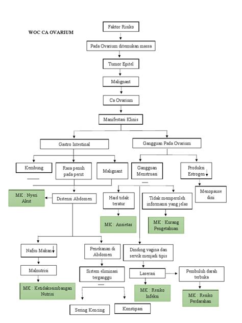 Woc Ca Ovarium Pdf