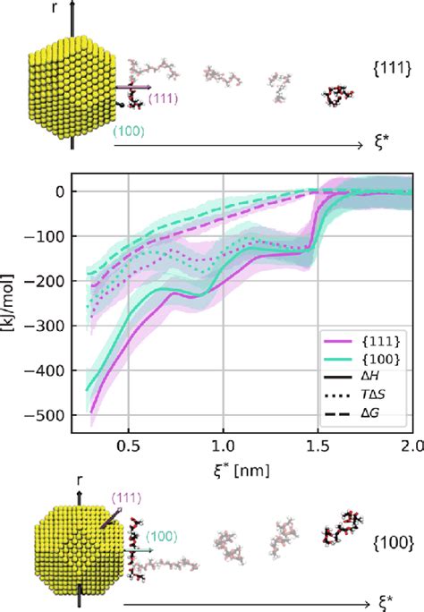 Free energy ΔG dashed line entropy TΔS dotted line and enthalpy