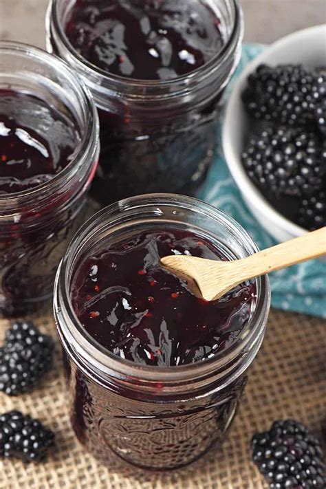 Elderberry Jelly Recipe Without Pectin Baked Veggies