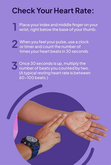 Heart Normal Pulse Rate Chart