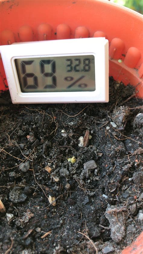Just got a humidity and temp meter to figure out why my seeds keep