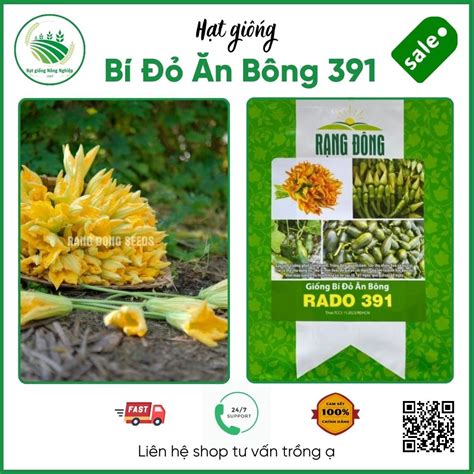 Hạt giống bí F1 các loại Bí sặt bí xanh bí siêu ngọn bí ăn bông