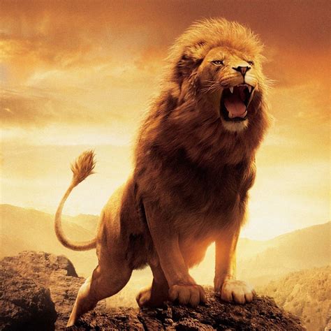 Roaring Lion Wallpapers Full HD 78560 - Baltana