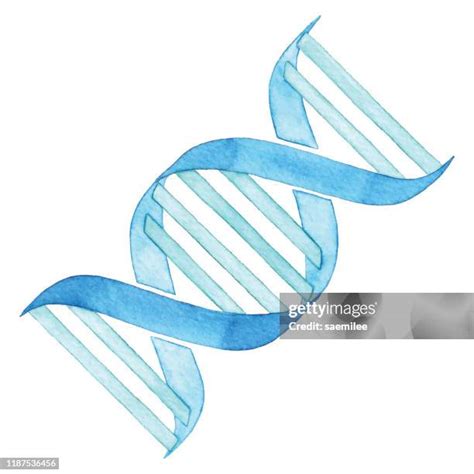 mutation drawing stock  high res pictures  images