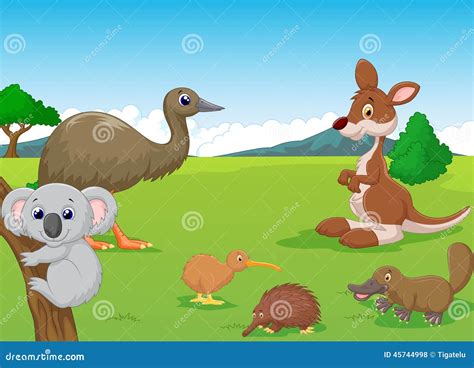 Animals Of The Australian Continent Icons Set. Vector Illustration ...