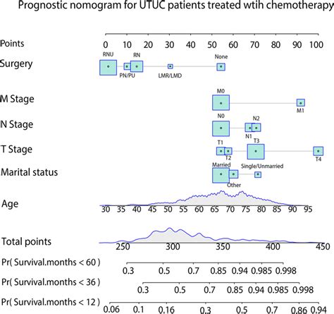 Nomogram Predicting 1 3 And 5 Year Overall Survival For UTUC