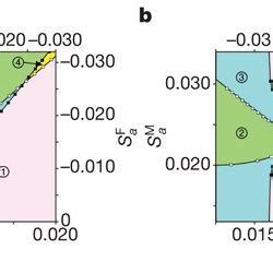 PDF Turnover Of Sex Chromosome Induced By Sexual Conflict