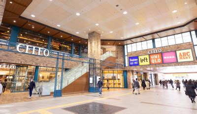 project  meitsu