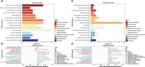 Kegg Enrichment Analysis Of Differential Metabolites Dms Between