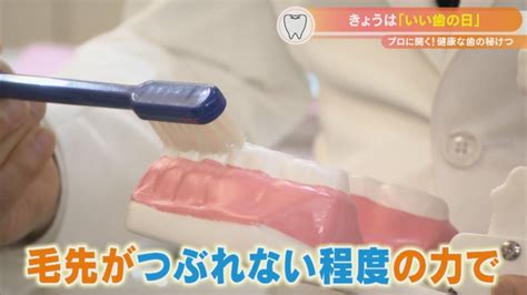 歯ブラシを濡らすと歯磨き粉の薬も薄まる！？ 乾いた状態で磨くのが正しい磨き方！？ Cbc Magazine（cbcマガジン）