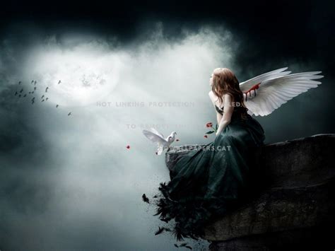 Take These Broken Wings Can She Escape Her Tragic Past 10