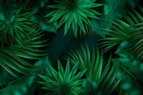 arriere plan realiste de feuilles tropicales sombres vecteur gratuite