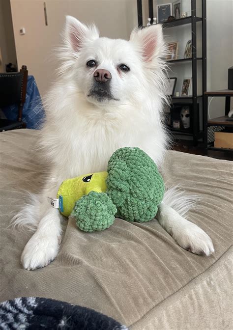 I just love her so much im going to explode!!! : r/americaneskimo