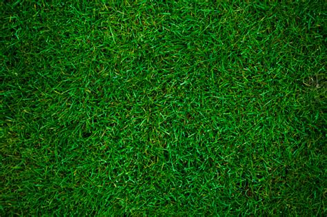 Green Grass Football Pitch Stock Photo - Download Image Now - iStock