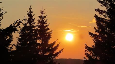 Golija Mountain Information