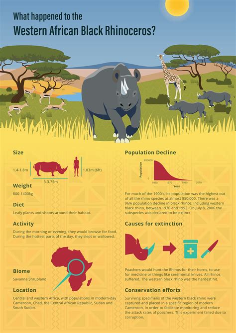 Western African Black Rhinoceros Infographic on Behance