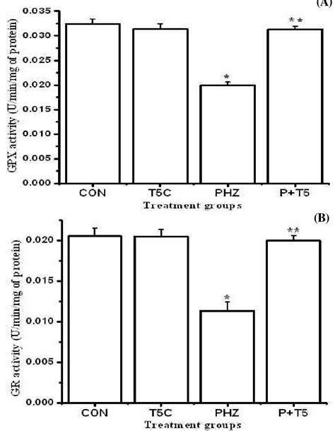 Protective Effect Of Aqueous Bark Extract Of Terminalia Arjuna Against