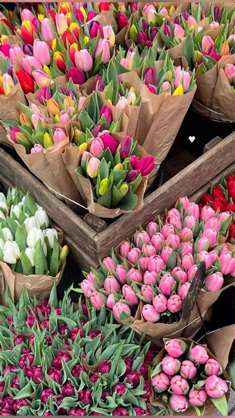 Pin By Madison On Flowers In 2024 Flower Arrangements Tulips Flowers