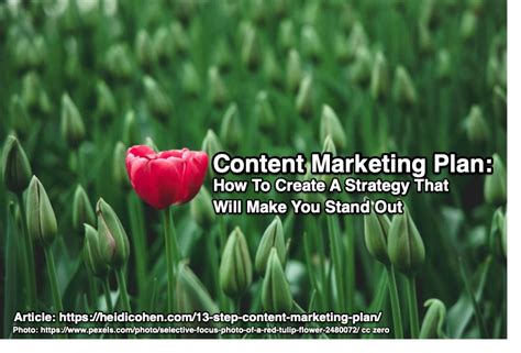 content marketing plan   create  strategy