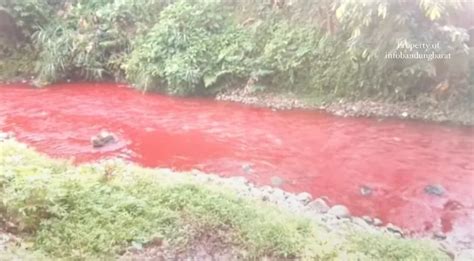 Merah Darah Aliran Sungai Cimeta Desa Tagog Padalarang Tercemar