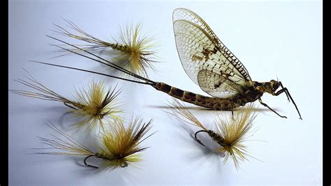 Tying An Irish Mayfly Dun Parachute Style Dry Fly With Davie Mcphail